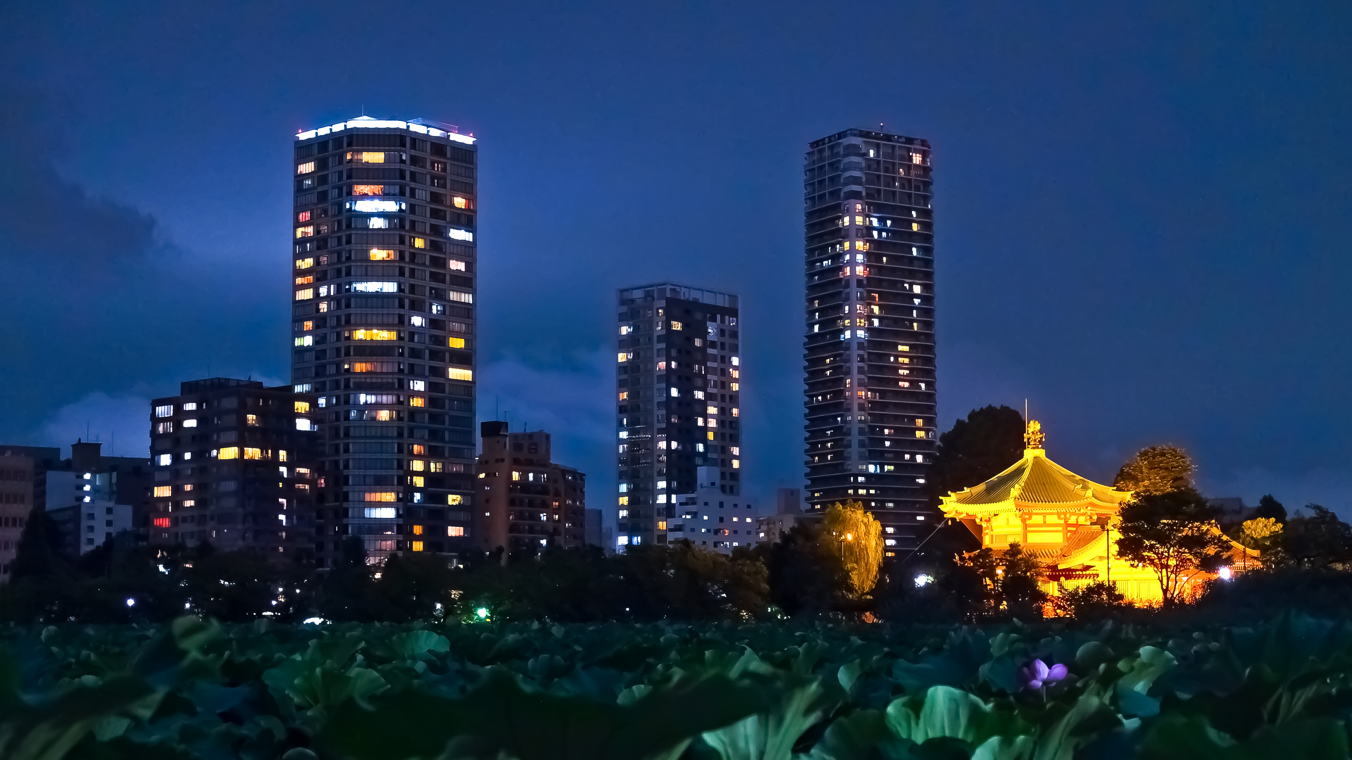 台東区　上野公園