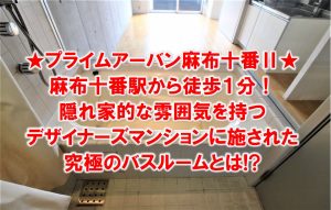 究極のデザイナーズ！「プライムアーバン麻布十番Ⅱ」驚きのバスルームとは！？