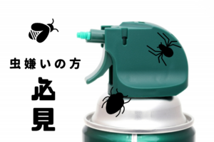 マンションの高層階にも虫は出る？！虫の種類や駆除・防虫対策まとめ
