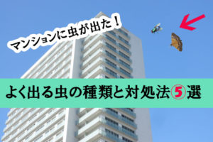 マンション1階は虫が多い？2、3階や高層階でもよく出る虫の種類と5つの対策で希望の部屋に住む方法とは？